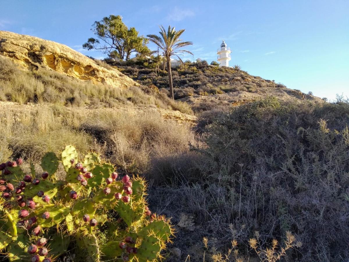 Villamar - Relax, Sol Y Playa アリカンテ エクステリア 写真
